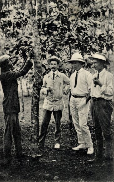 Postcard Gold Coast, Ghana, gum extraction