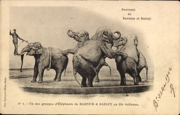 Postcard Circus Barnum & Bailey, Un des groupes d'Éléphants, elephants