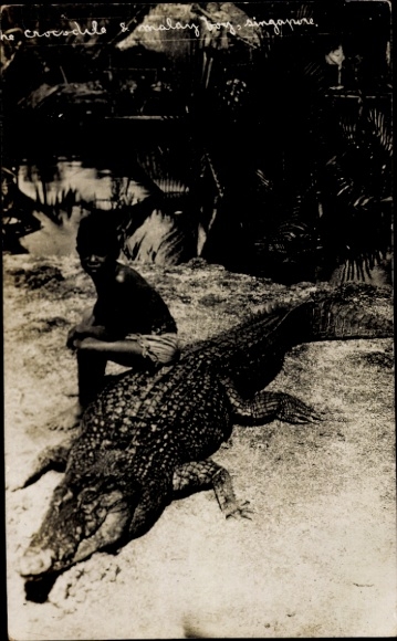 Postcard Singapore Singapore, Malay Bay, crocodile