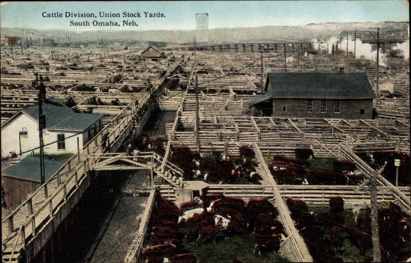 Postcard Omaha Nebraska USA, Union Stock Yards, slaughterhouse, corral