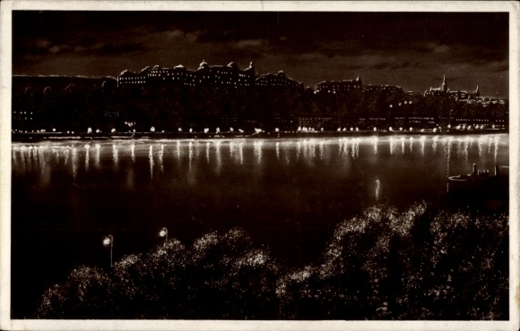 Budapest Hungary, Dark silhouette of the castle, Danube view at night, Budapest