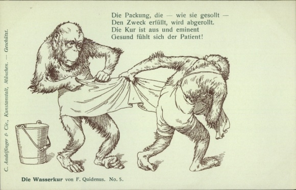 Artist Postcard Quidenus, Fritz, The Water Cure No. 5, humanized monkeys, packaging