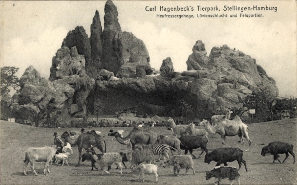 Hamburg Eimsbüttel Stellingen, Carl Hagenbeck's Zoo, Hay Eater Enclosure, Lion Gorge