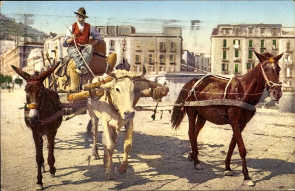Postcard Italien, Costumi napoletani, Napoli, cart with donkey, ox and horse