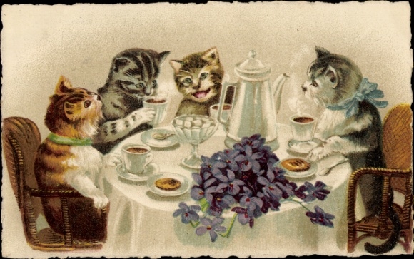 Postcard cats at the table, coffee hour, flowers
