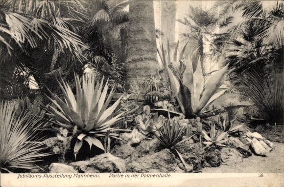 Postcard Mannheim in Baden, Jubilee Exhibition 1907, Palm Hall