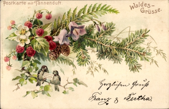 Lithograph: Forest greetings, birds, strawberries, fir branches, blossoms