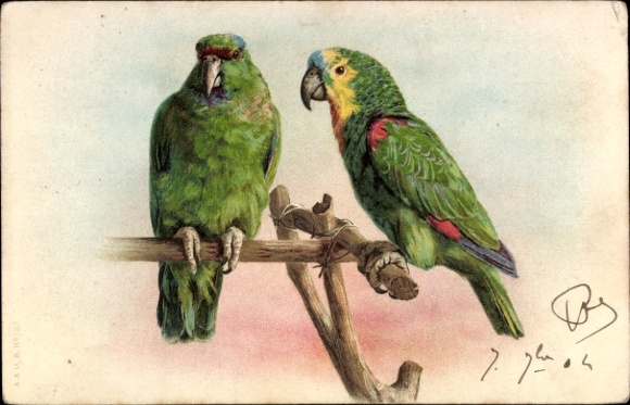 Artist Postcard Two Parrots, Macaws, Animal portrait