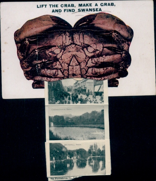 Leporello Postcard Swansea Wales, street scene, Brynmill Park, Cwmdonkin Park, crab