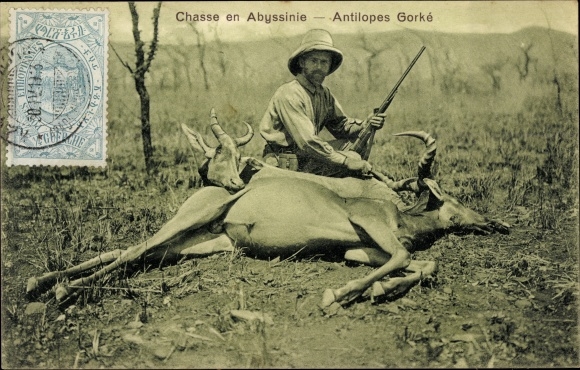 Ethiopian Ak, Hunting in Abyssinia, Gorke Antelopes