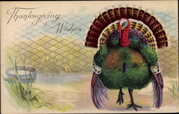 Emboss Postcard Thanksgiving, Turkey, Turkey