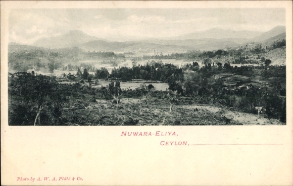 Postcard Nuwara Eliya Ceylon Sri Lanka, general view