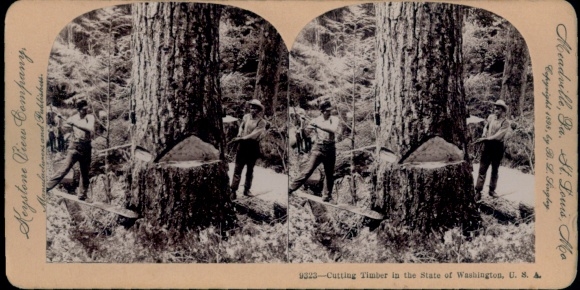 Stereoscopic photo of lumberjacks at work in Washington, USA, Keystone View Co.
