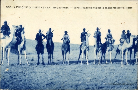 Mauretanian Ak, West Africa, Senegalese meharist skirmishers online