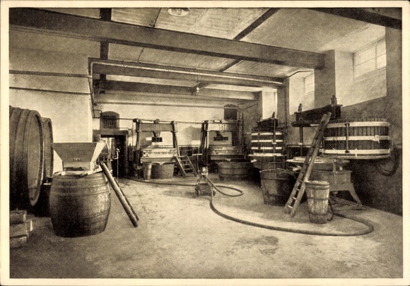 Postcard Bingen am Rhein, Haus Fromm, wine wholesaler, wine press house