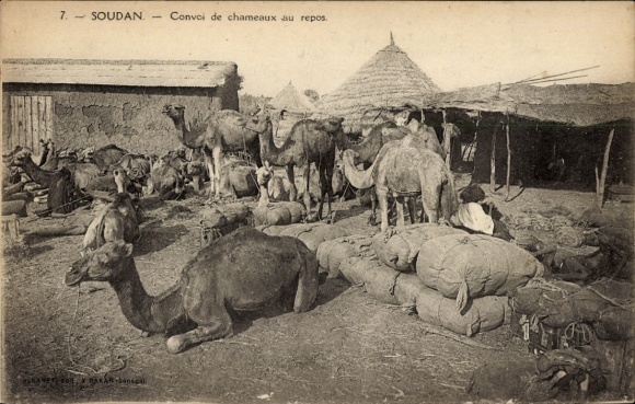 Postcard Soudan Francais Mali, camels, loads, tent