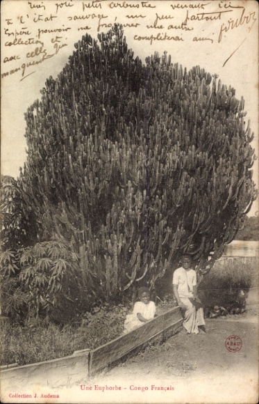 Postcard Loango Kongo Zaire, children in front of huge euphoria