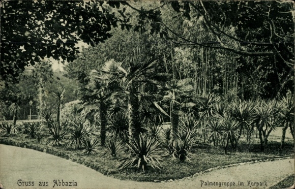 Postcard Opatija Abbazia Croatia, Greetings from the palm grove in the spa park