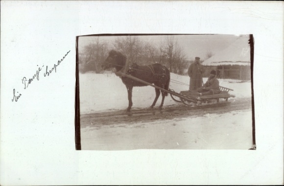 Photo Postcard Panje team, sleigh team