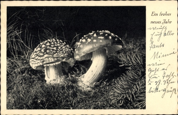 Postcard Happy New Year, toadstools
