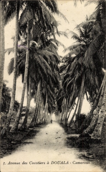 Postcard Douala Duala Cameroon, Avenue des Cocotiers, palm trees, path, black and white photo