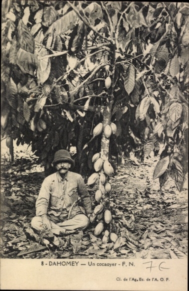Postcard Dahomey Benin, Un cocaoyer, cocoa tree