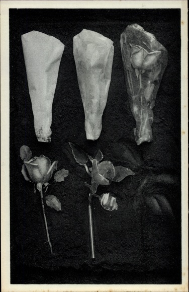 Artist PC Breton, Jacqueline, Bridge of drowsiness