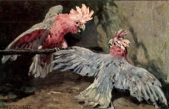 6 artists' PCs in an envelope from Hans Schmidt, Feathered Friends