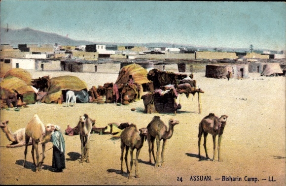 Postcard Assouan Aswan Egypt, camels, tent camp, desert, Bisharin Camp
