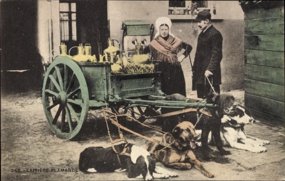 Postcard milkmaid, dog cart
