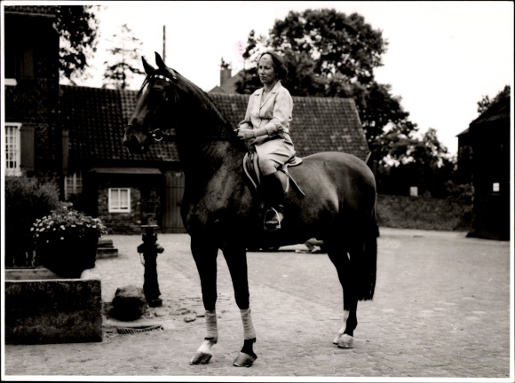 Photo of a rider on a horse