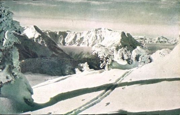 20 AK complete series, various views from Austria