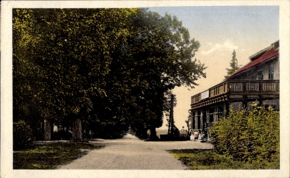 Postcard Einbeck in Lower Saxony, Zur Hube forest restaurant, trees, road, people