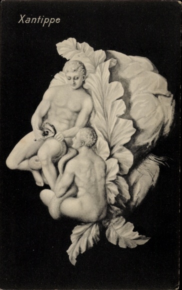 Postcard Xantippe, Serie têtes trompeuses No. 8, Metamorphosis, naked men