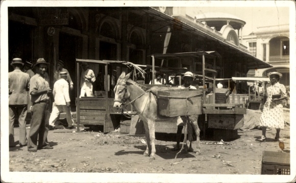 Photo Postcard Venezuela, market scene, pack donkey