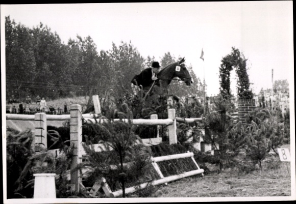 Photo Postcard show jumping, jumping over an obstacle
