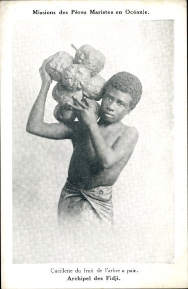 Postcard Fiji, Missions of the Marist Fathers, fruit picked from the breadfruit tree
