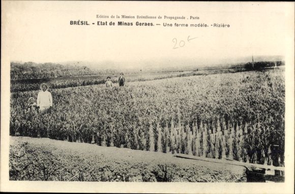 Postcard Brazil, worker in the rice field