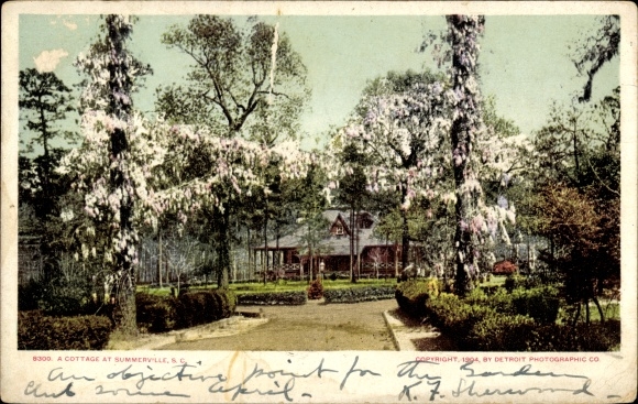 Postcard South Carolina USA, Vacation home in Summerville