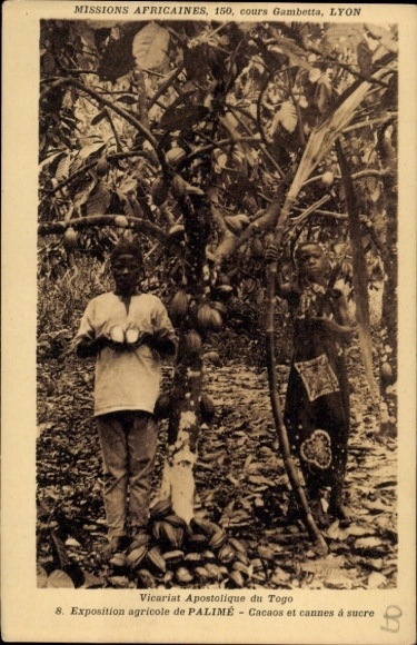 Postcard Palimé Togo, Vicariat Apostolique, Exposition agricole, Cacaos et cannes à sucre, cocoa beans