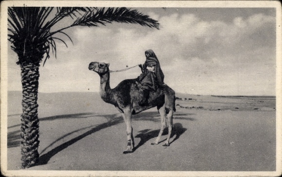 Postcard Libya, Searching for the Way, Man Riding on Camel, Maghreb