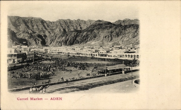 Postcard Aden Yemen, camel market, mountains in the background, people and animals,