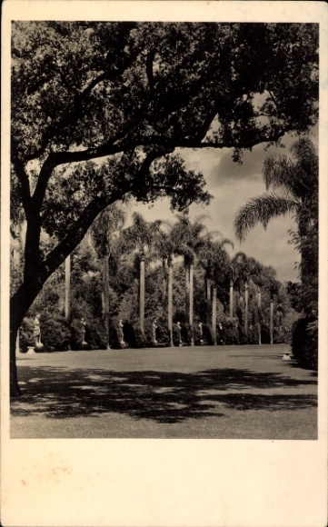 Postcard San Marino, palm trees, lawn, trees, shade