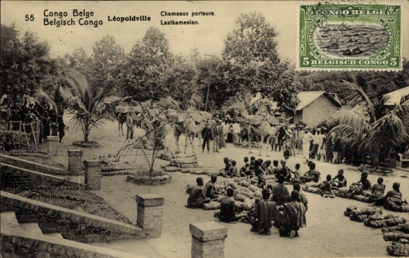 Postal stationery CPA Kinshasa Léopoldville RD Congo Zaïre, Chameaux porteurs