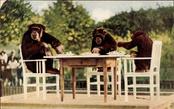 PC Chimpanzees, The Monkeys' Tea Party