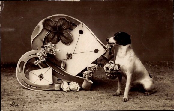 AK dog portrait, horseshoe