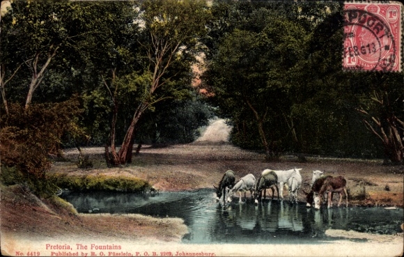 Postcard Pretoria South Africa, horses by the water, trees, river, fountains
