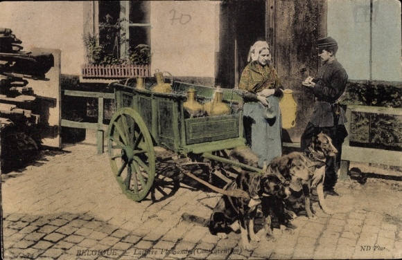 Postcard Belgium, milkmaid, dog cart