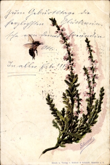 Artist Postcard Schriever, bumblebee, plant