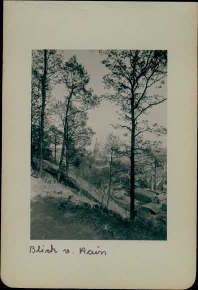 Photo of Weida in Thuringia, view from the grove